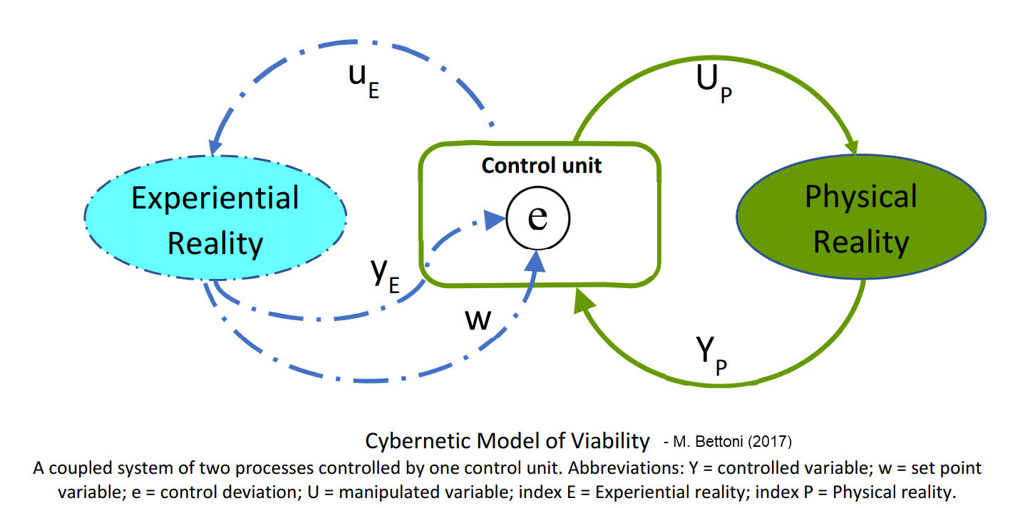 Cybernetic Model of Viability